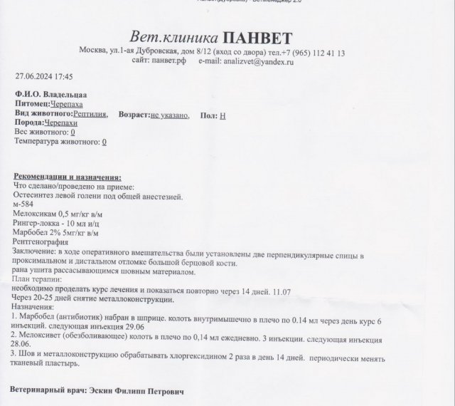 Дуся остеосинтез    27.04.2024.jpg