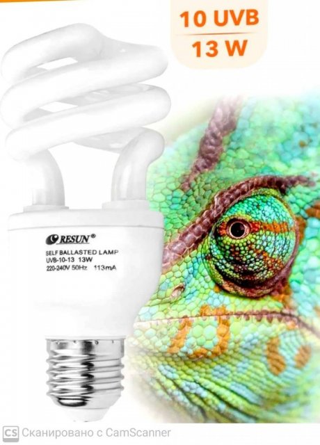 CamScanner 29.06.2024 21.52.jpg