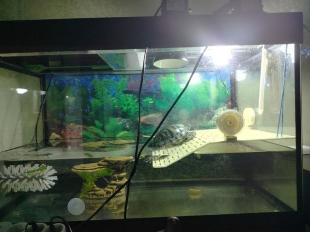 photo_2024-06-29_23-20-34 (2).jpg