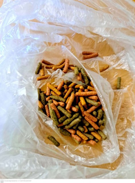 CamScanner 28.06.2024 18.55_1.jpg