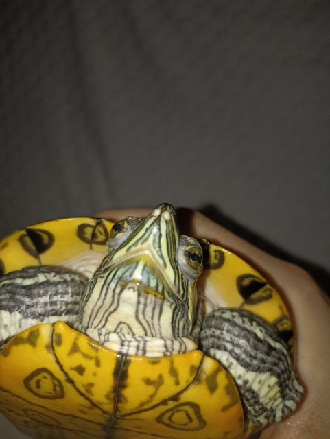 photo_2024-06-07_12-26-37 (5).jpg