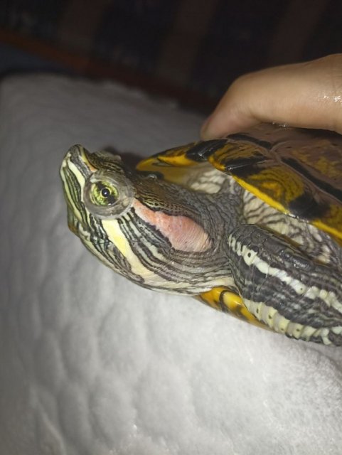 photo_2024-06-07_12-26-37 (6).jpg