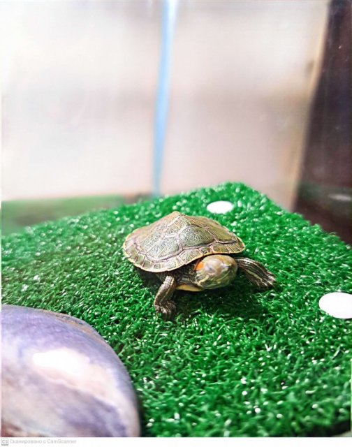 CamScanner 28.06.2024 03.47.jpg