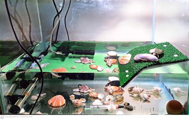 CamScanner 28.06.2024 03.48.jpg