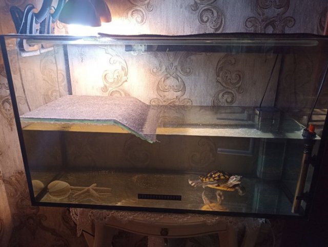 photo_2024-06-07_13-40-01 (2).jpg