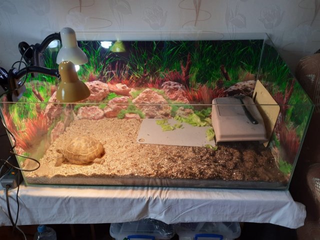 Изображение WhatsApp 2024-01-18 в 14.10.25_c253276d.jpg