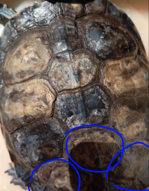 Без названия68_20240723221320.png