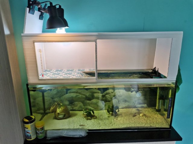 photo_2024-07-21_15-21-14 (4).jpg