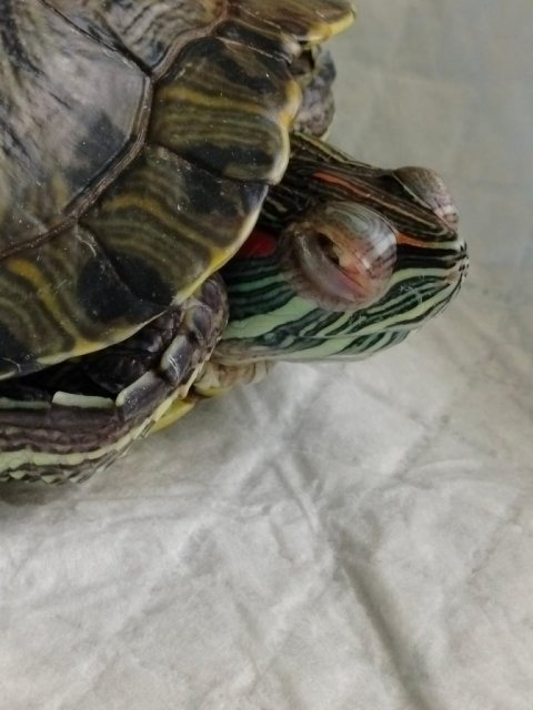 WhatsApp Image 2024-07-12 at 17.27.18.jpeg