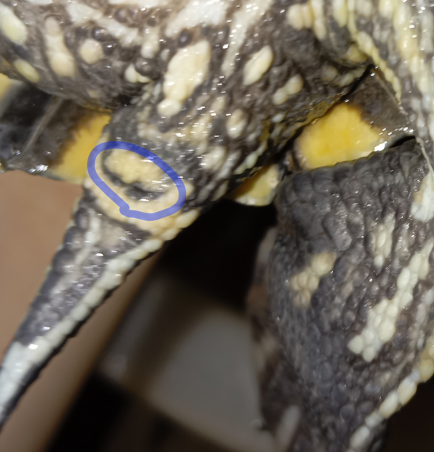 Без названия85_20240728163939.png