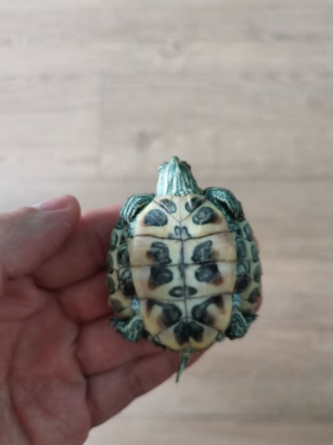 photo_2024-07-21_15-21-14 (3).jpg