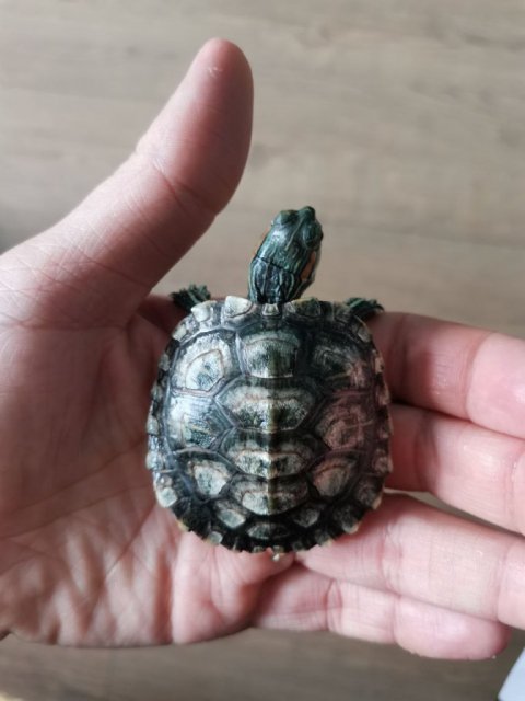 photo_2024-07-21_15-21-14 (2).jpg