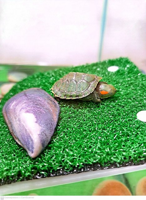 CamScanner 02.07.2024 23.23.jpg