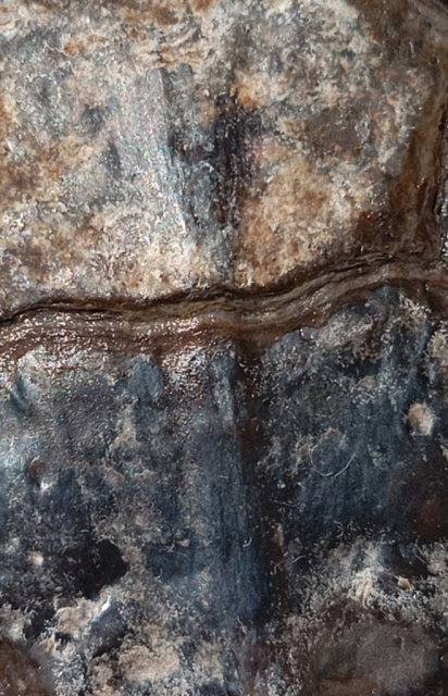 Без названия63_20240722104939.png