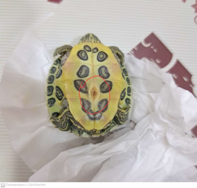 CamScanner 02.07.2024 23.12.jpg