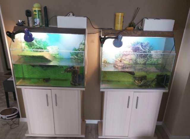 Изображение WhatsApp 2024-08-08 в 11.16.28_f7aa5473.jpg