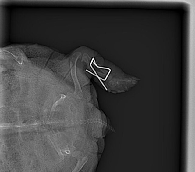 18.07.2024 905_cr.jpg