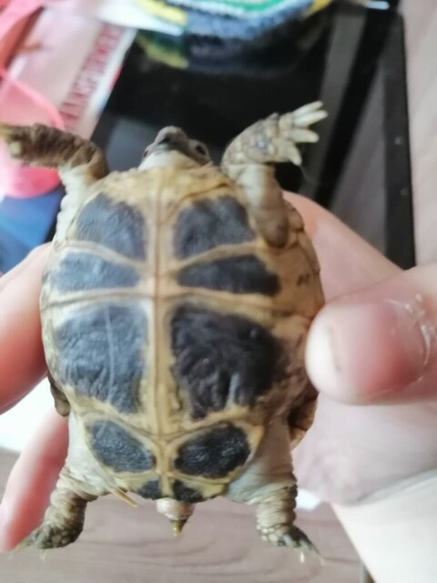 Изображение WhatsApp 2024-09-21 в 11.32.13_5963bd81.jpg