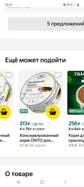 Screenshot_20240911-000703_Samsung Internet.jpg