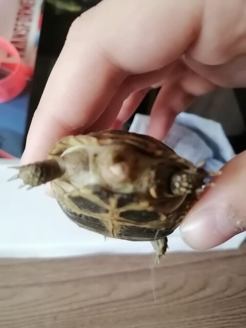 Изображение WhatsApp 2024-09-21 в 11.32.14_a105c33c.jpg