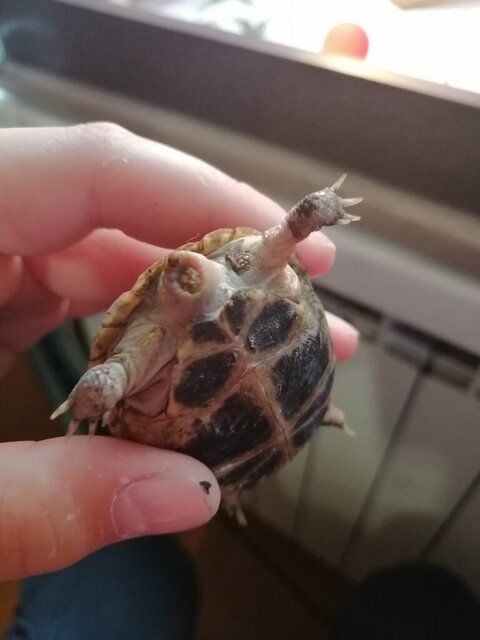 Изображение WhatsApp 2024-09-27 в 11.13.35_f9e1d29a.jpg