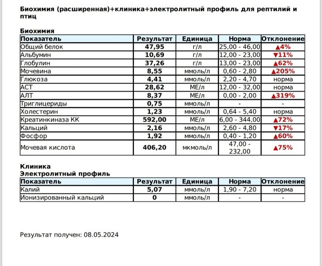 Screenshot_20241011_014714_Microsoft 365 (Office).jpg