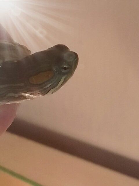 Изображение WhatsApp 2024-10-16 в 11.10.55_52476ff7.jpg