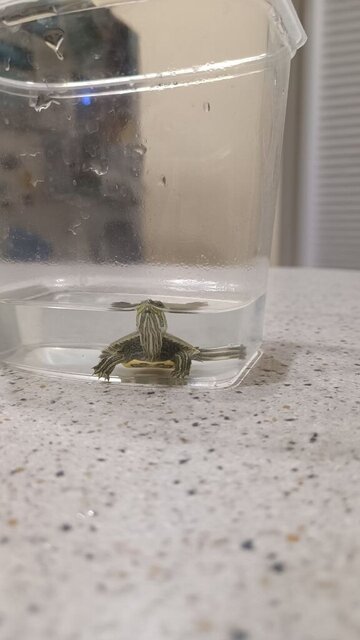 photo_2024-10-17_12-55-43 (2).jpg