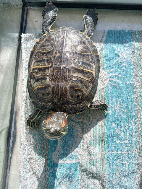 Загораем окт24.jpg