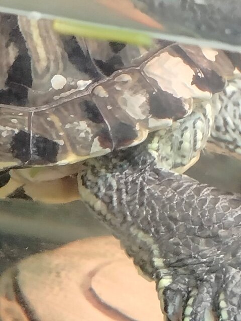 WhatsApp Image 2024-10-19 at 20.19.02.jpeg