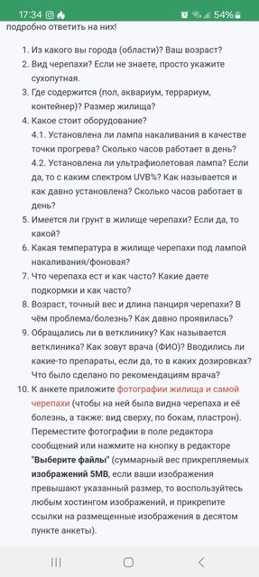 Screenshot_20241027_173402_Samsung Internet.jpg