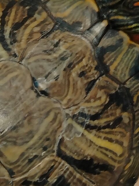 WhatsApp Image 2024-10-19 at 20.19.44.jpeg