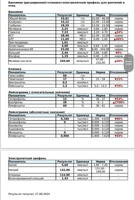 Screenshot_20241011_014743_Microsoft 365 (Office).jpg