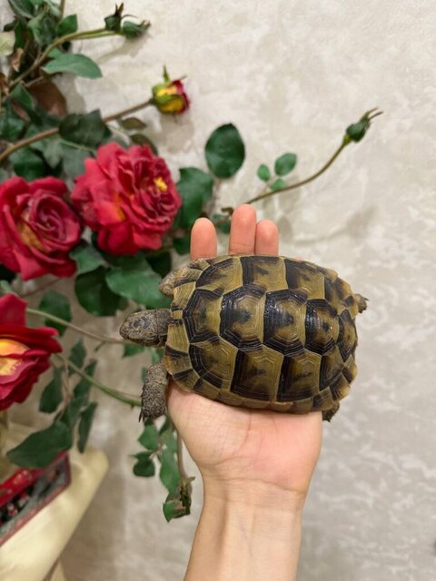 2024-11-09 09.17.58.jpg