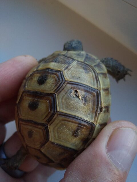 WhatsApp Image 2024-11-02 at 14.05.55.jpeg