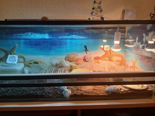 Изображение WhatsApp 2024-12-29 в 19.23.38_69224a1e.jpg