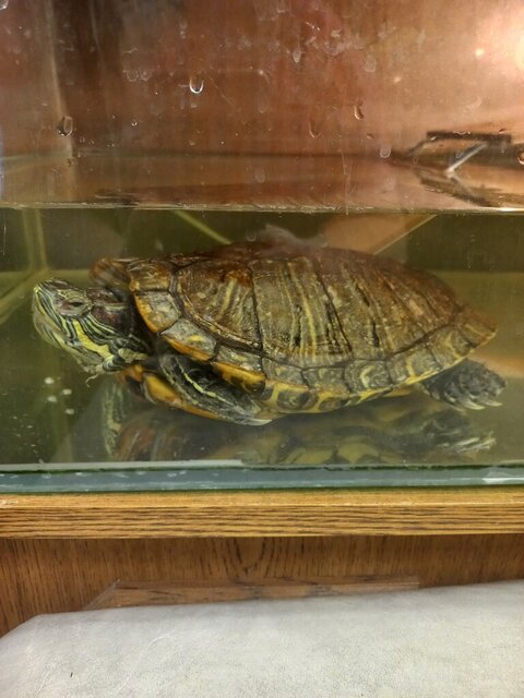 20241218_231506 (1).jpg