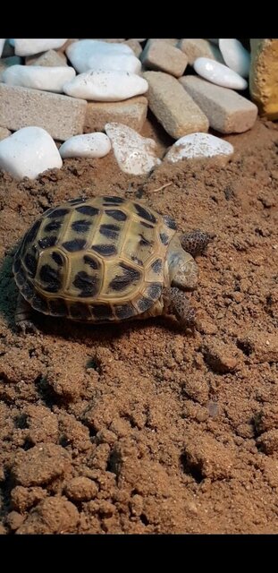 Screenshot_20241230-194208_Video Player.jpg