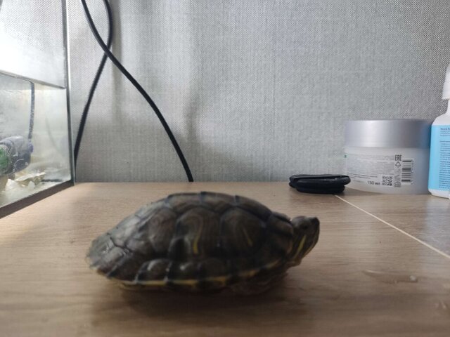 IMG_20241214_183727 (1).jpg