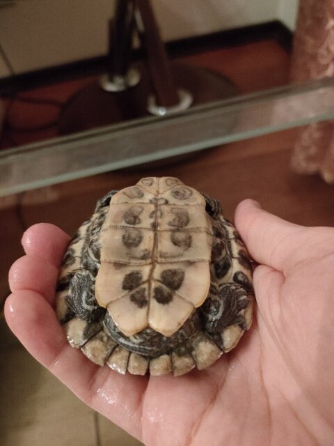 photo_2024-12-19_23-30-54 (3).jpg