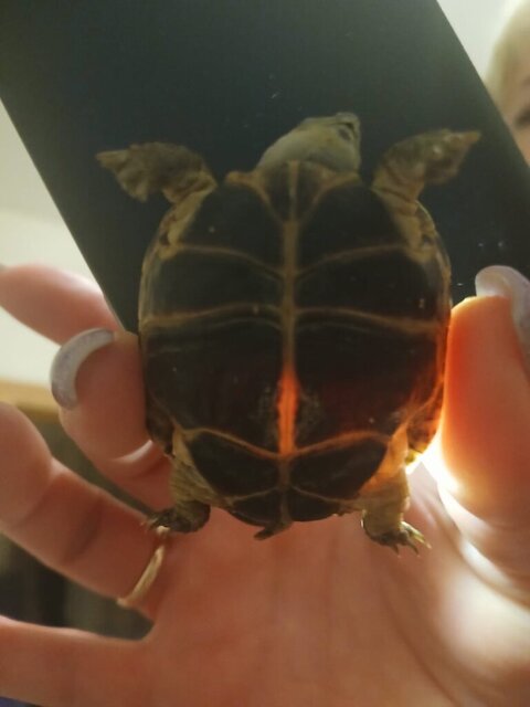 Изображение WhatsApp 2024-12-29 в 19.23.39_cb71fcca.jpg