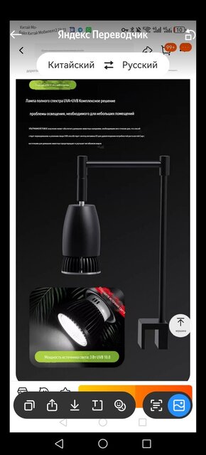 Screenshot_20241229_232356_ru.yandex.translate.jpg