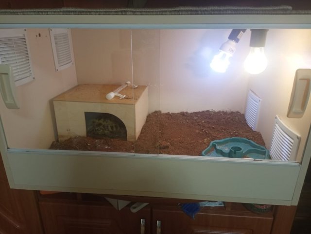 новый террариум.jpg
