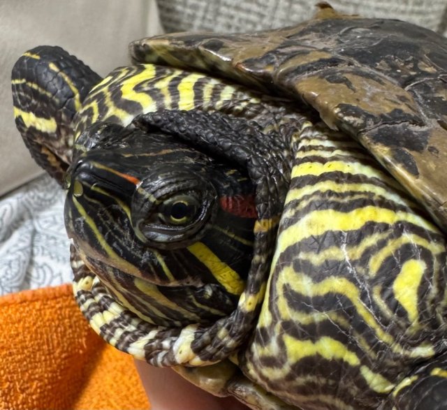 фото до обращения в клинику и до старта лечения