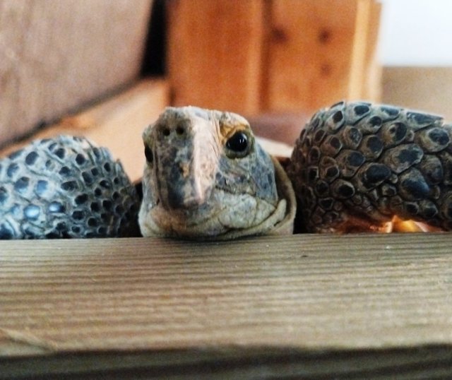 1970-01-01 02-59-59_1737836634.JPG