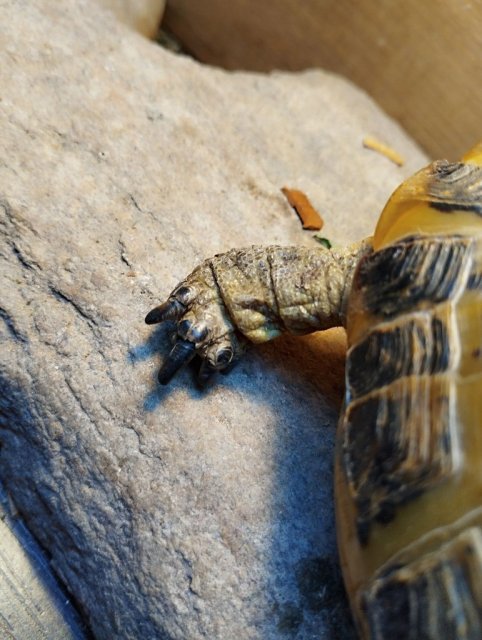 2025-01-28 13-23-15.JPG