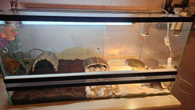 20250116_201529 (1).jpg