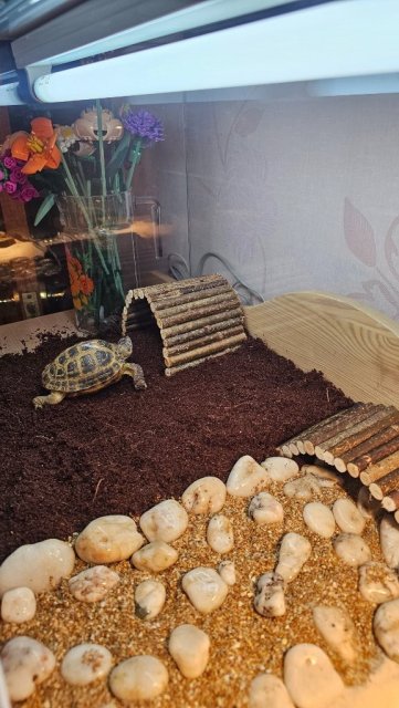 20250116_201632 (1).jpg