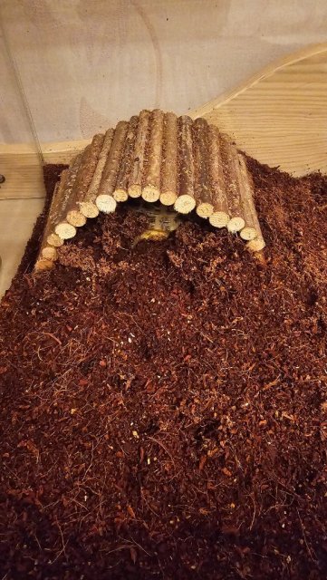 20250130_222917 (1).jpg