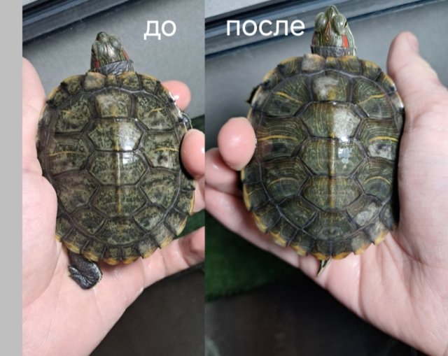 Screenshot_20250110_200352_ibisPaint X.jpg